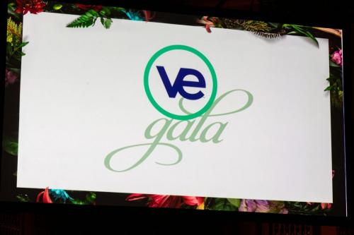 VEI Gala 2024